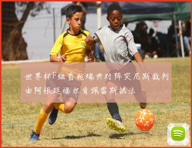 世界杯F组首轮瑞典对阵突尼斯裁判由阿根廷福尔肯佩雷斯执法