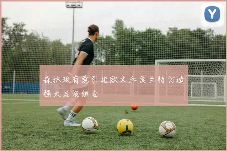 森林狼有意引进欧文和莫兰特打造强大后场组合